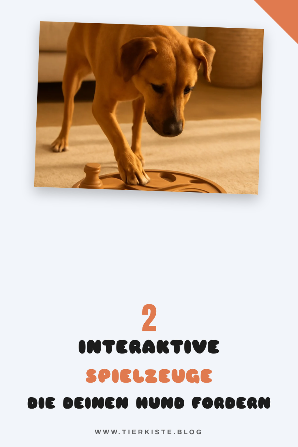Wie du mit interaktiven Spielzeugen deinen Hund herausforderst
