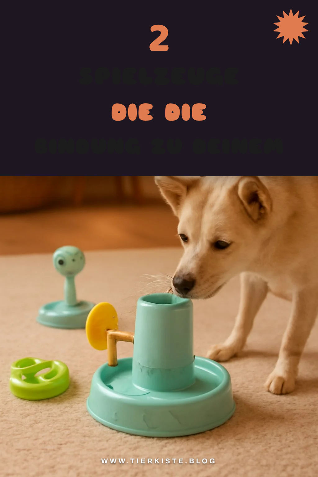Diese Spielzeuge fördern die Bindung zwischen Mensch und Hund