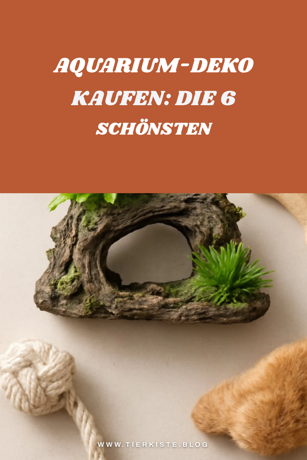 Aquarium-Deko kaufen: Die 6 schönsten im Vergleich