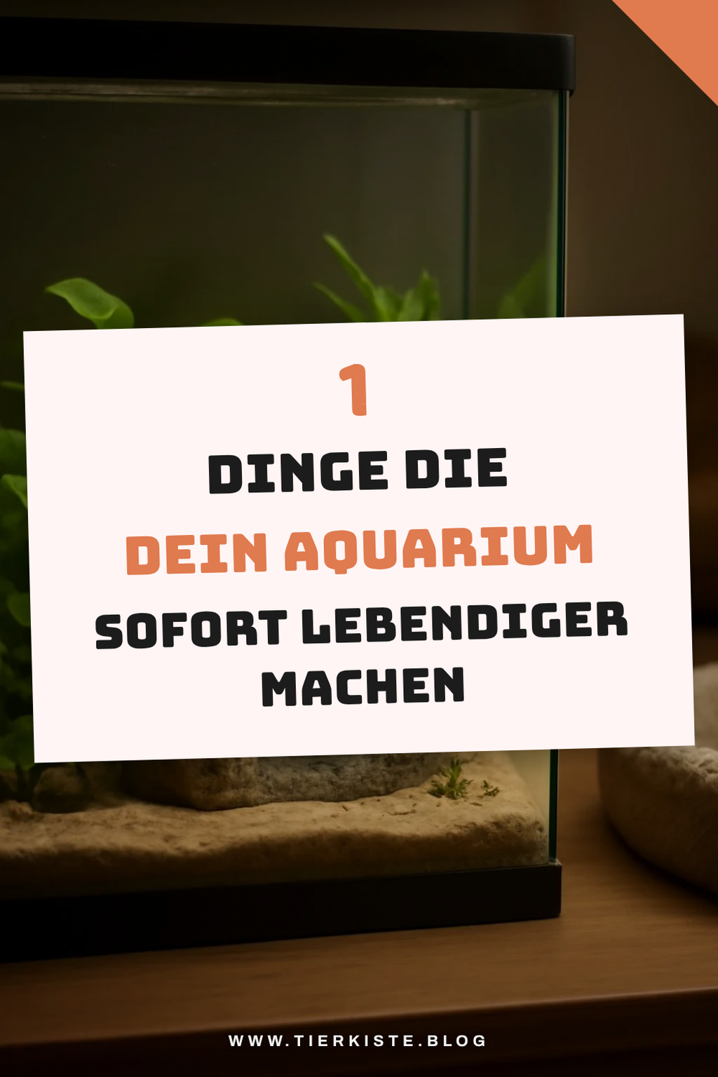 So schaffst du eine natürliche Atmosphäre in deinem Aquarium