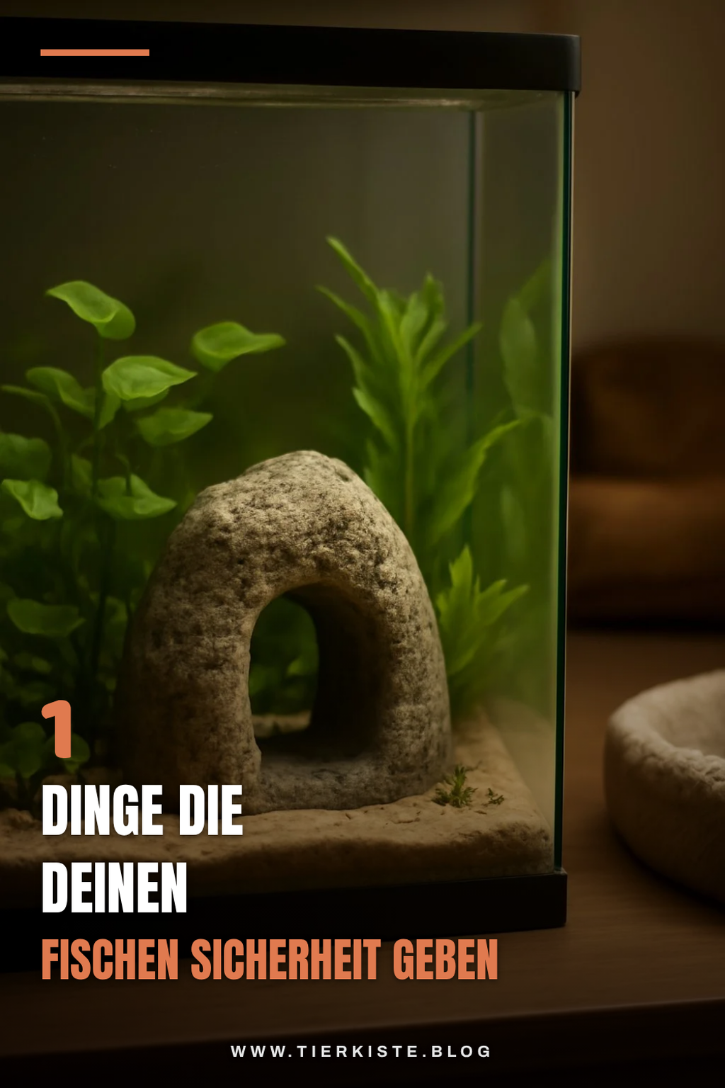 Wie du mit Dekorationen für Rückzugsorte sorgst