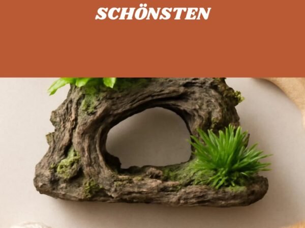 Aquarium-Deko kaufen: Die 6 schönsten im Vergleich