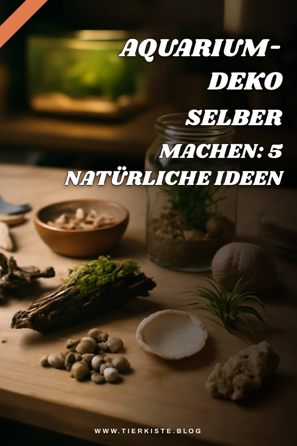 Aquarium-Deko selber machen: 5 natürliche Ideen