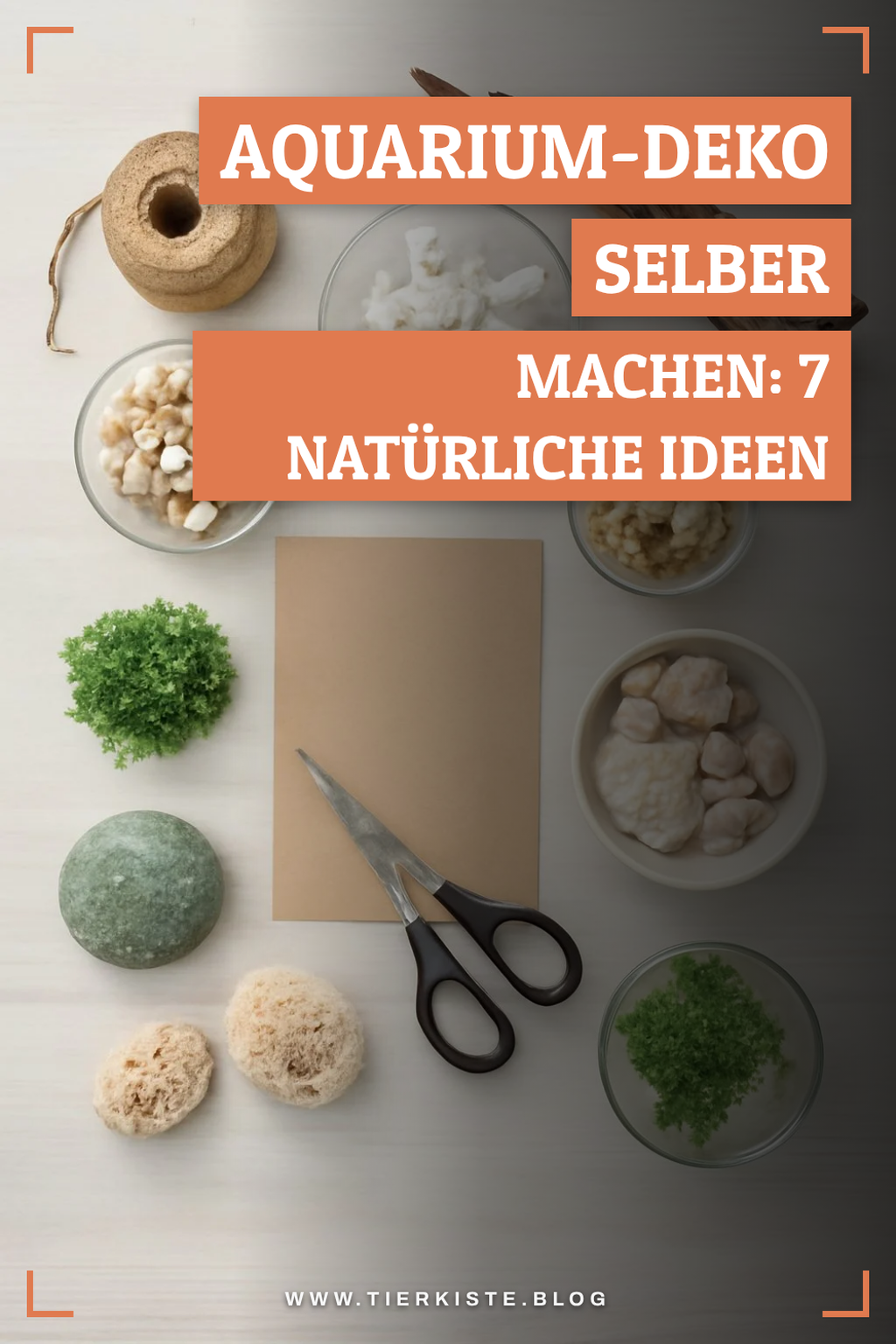 Schritt 1