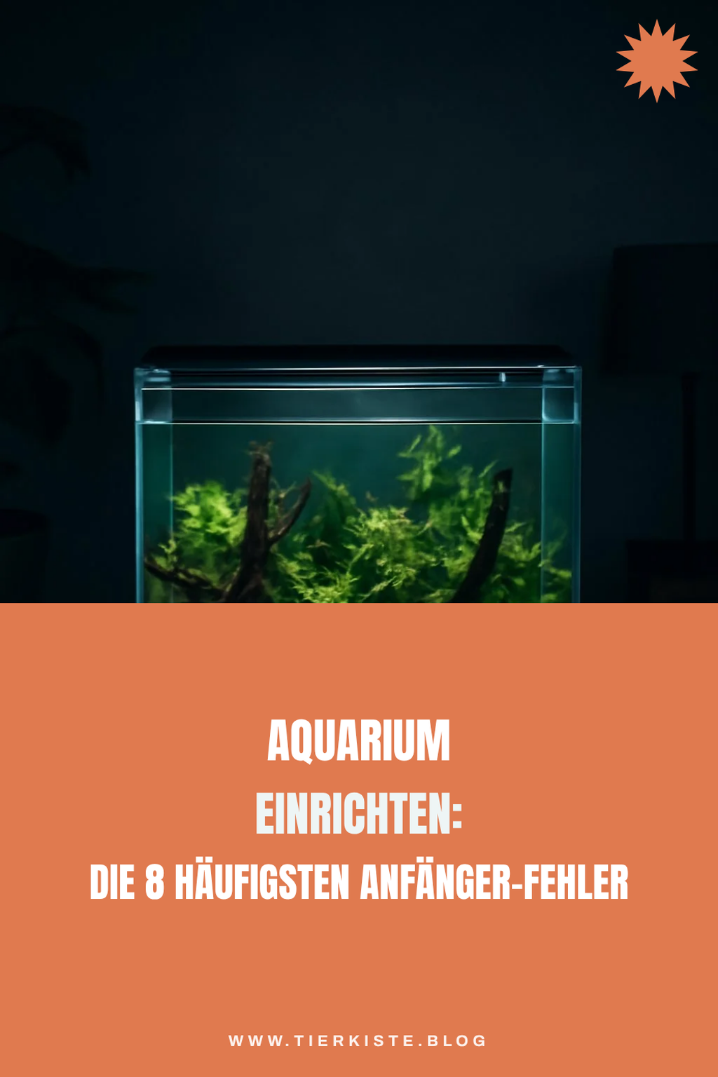 Aquarium einrichten: Die 3 häufigsten Anfänger-Fehler — Problem-Szenario
