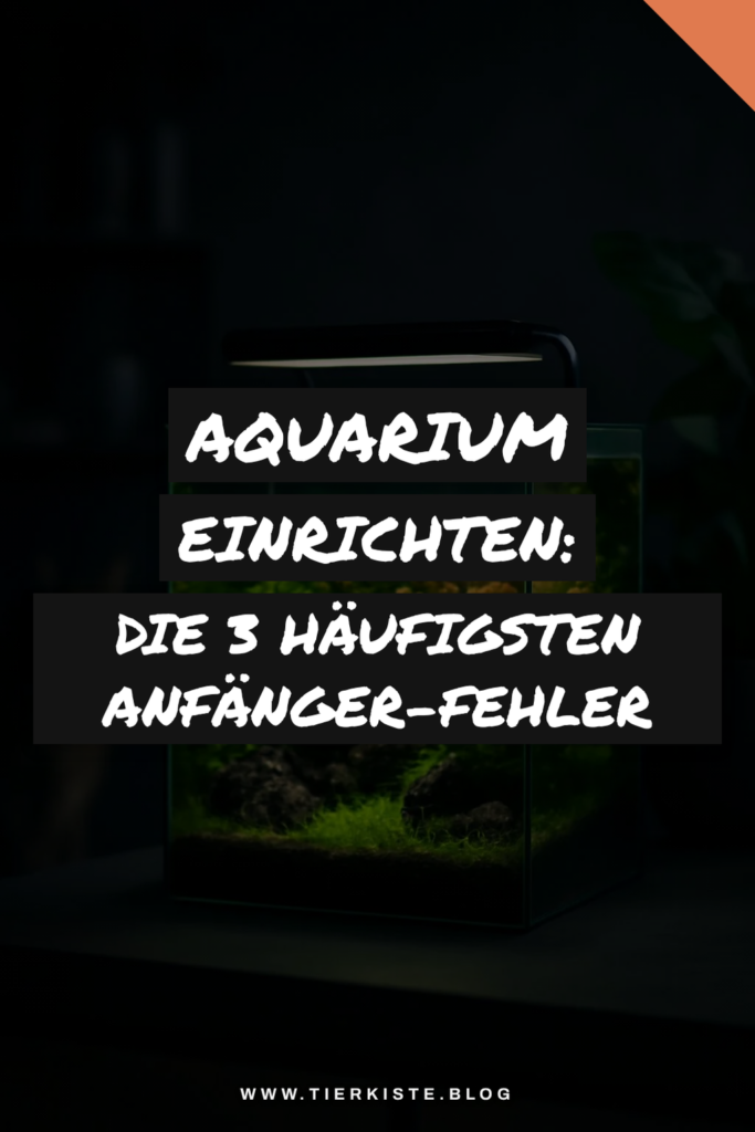 Aquarium einrichten: Die 3 häufigsten Anfänger-Fehler