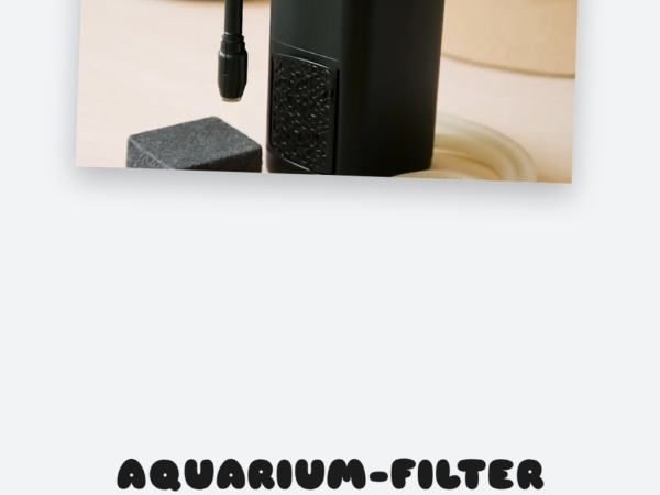 Aquarium-Filter richtig reinigen: Die wichtigsten Tipps
