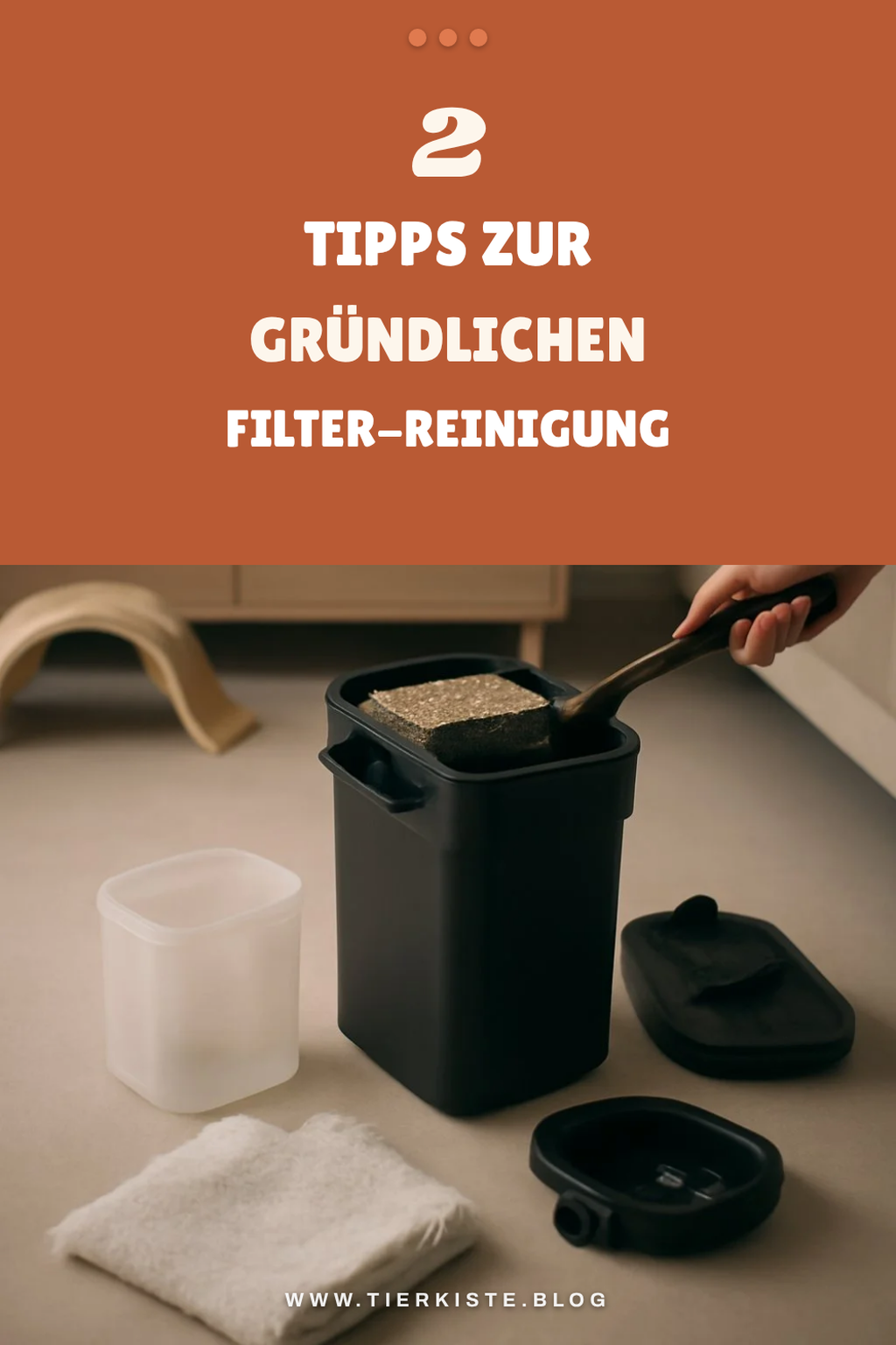 Wie du deinen Aquarium-Filter gründlich reinigst