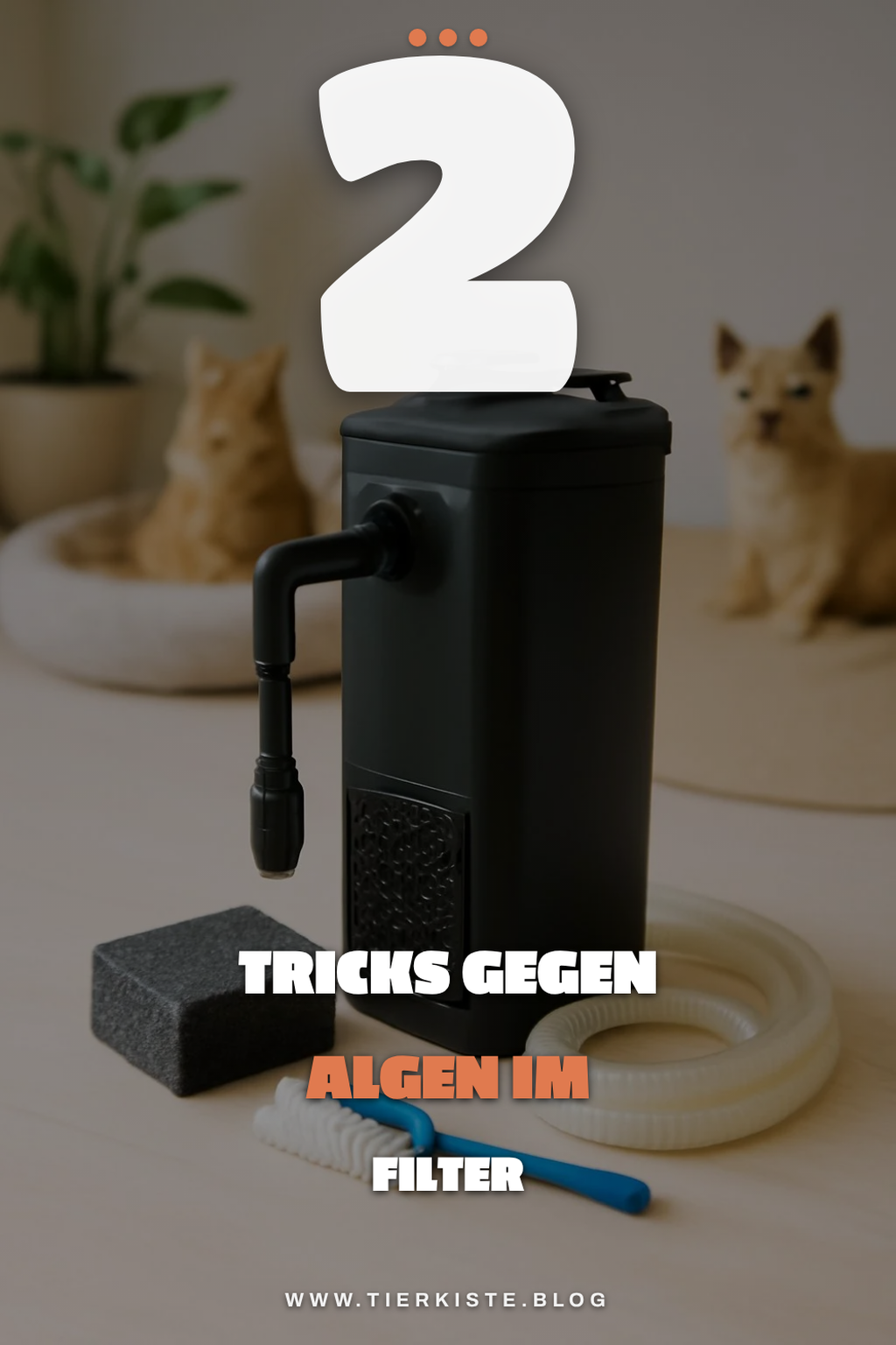 Tipps zur Vermeidung von Algenbildung im Filter