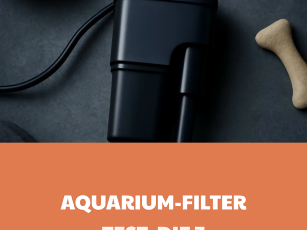 Aquarium-Filter Test: Die 7 leisesten Modelle