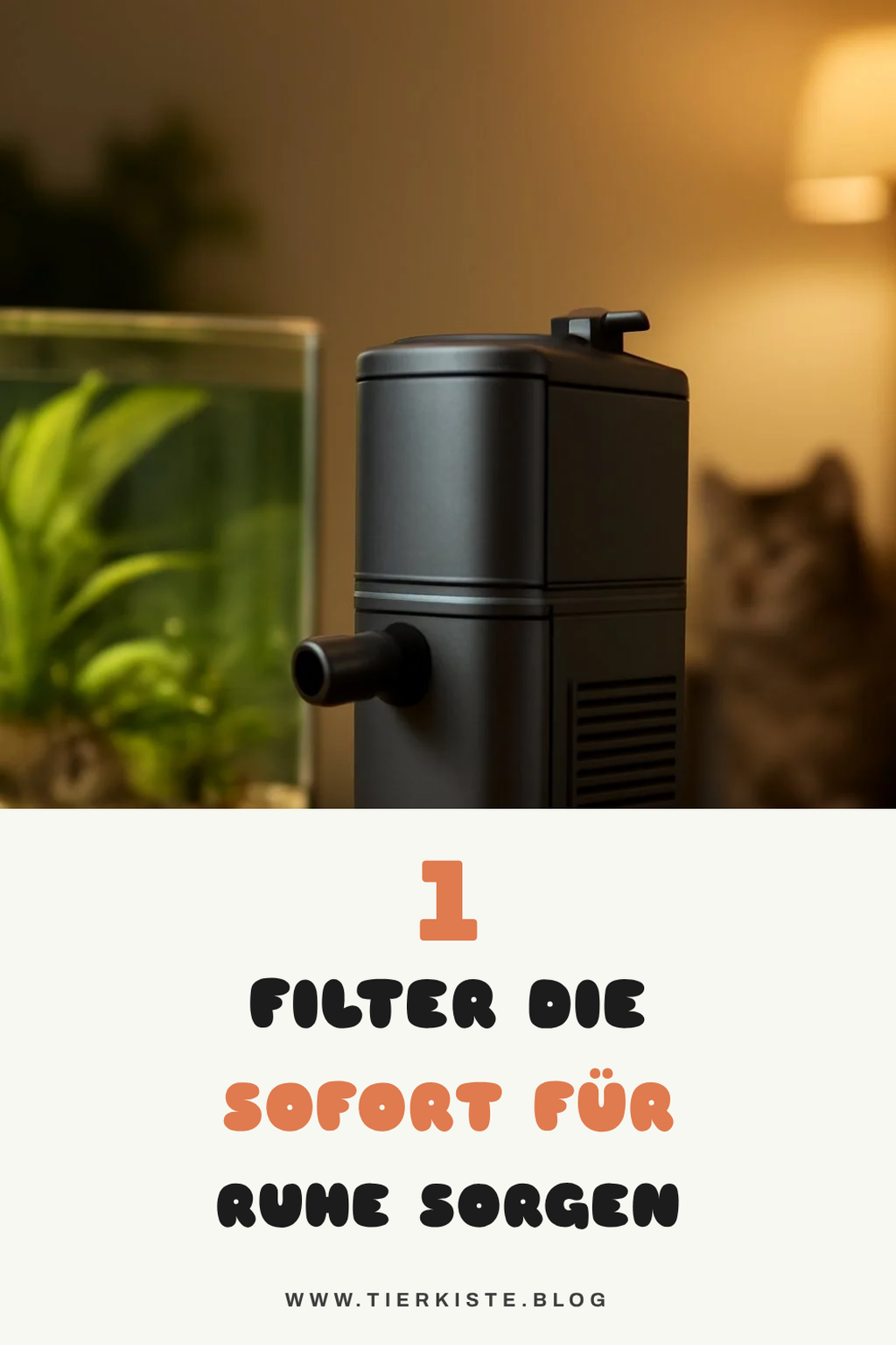 So findest du den leisesten Aquarium-Filter für dein Zuhause