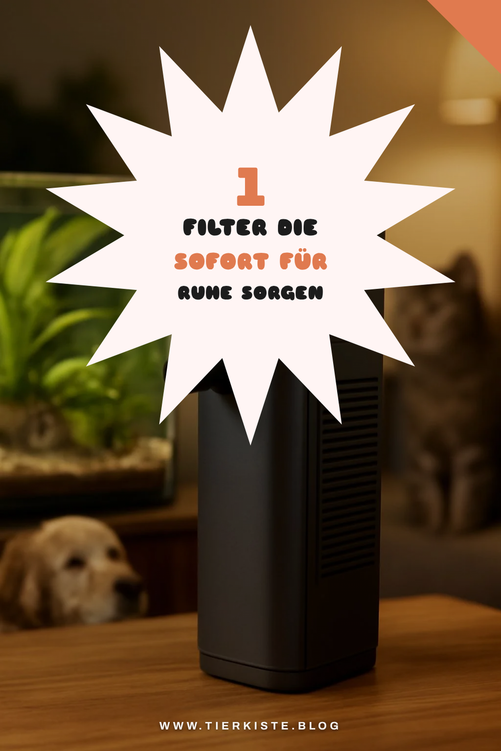 Mehr Empfehlungen aus dieser Kategorie