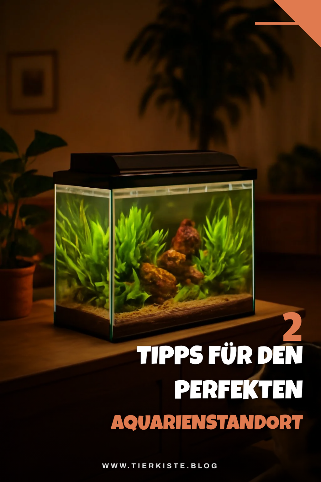 So findest du den perfekten Standort für dein Aquarium