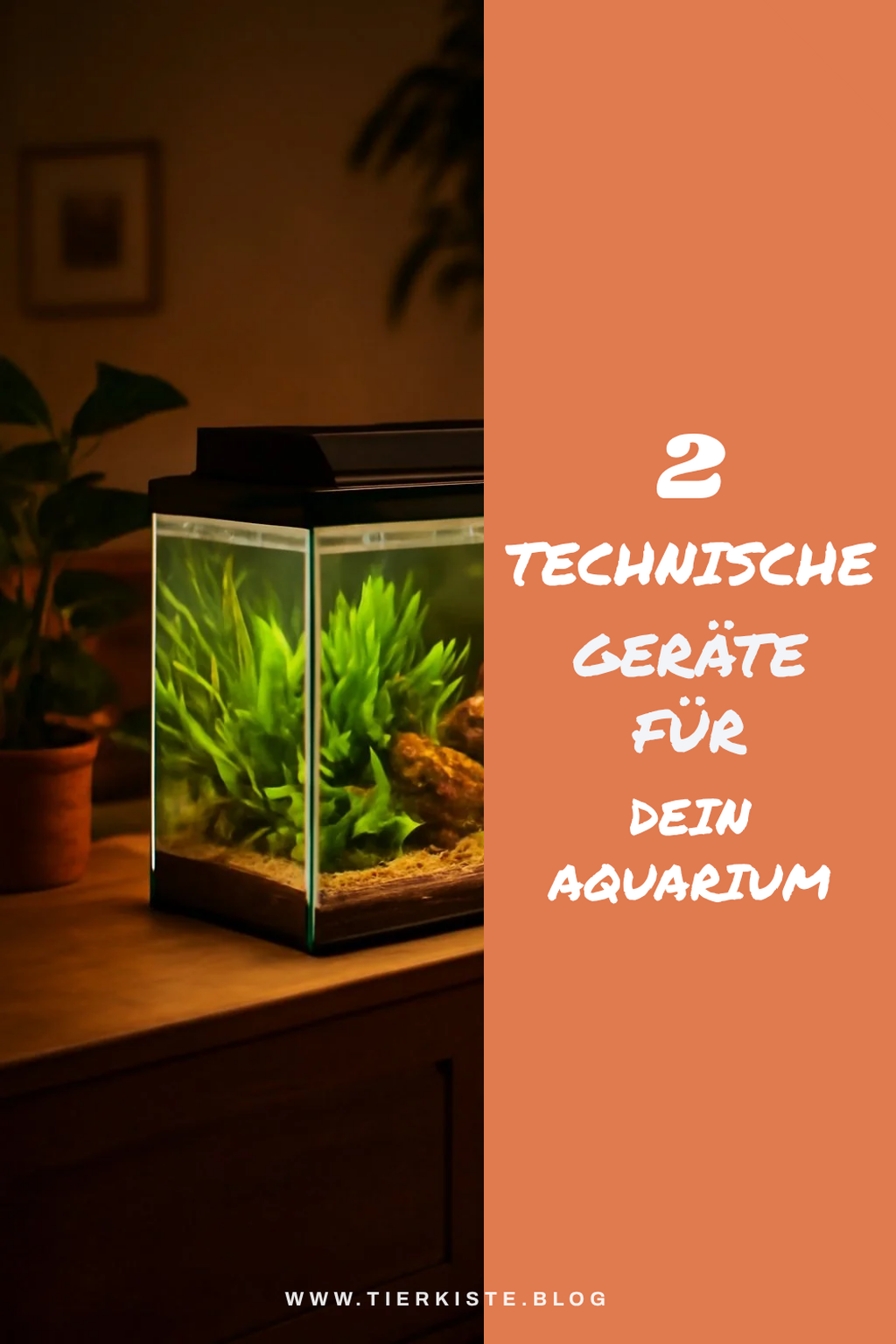 Die richtige Technik für dein Aquarium