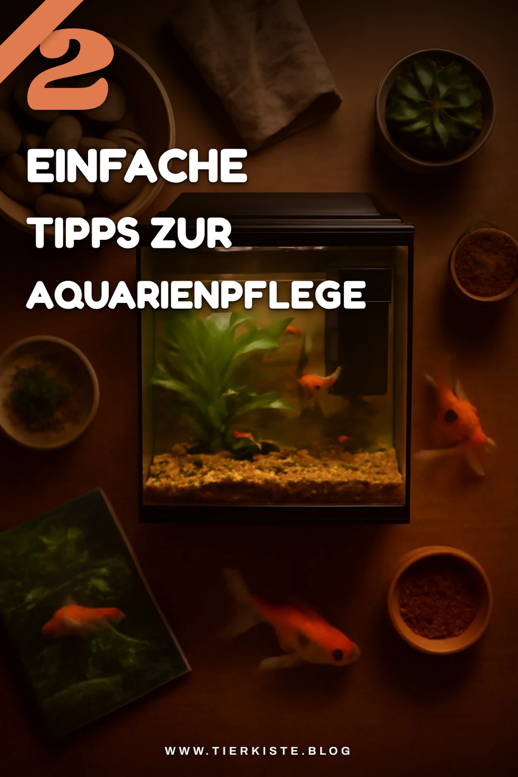 Pflege und Wartung deines Aquariums