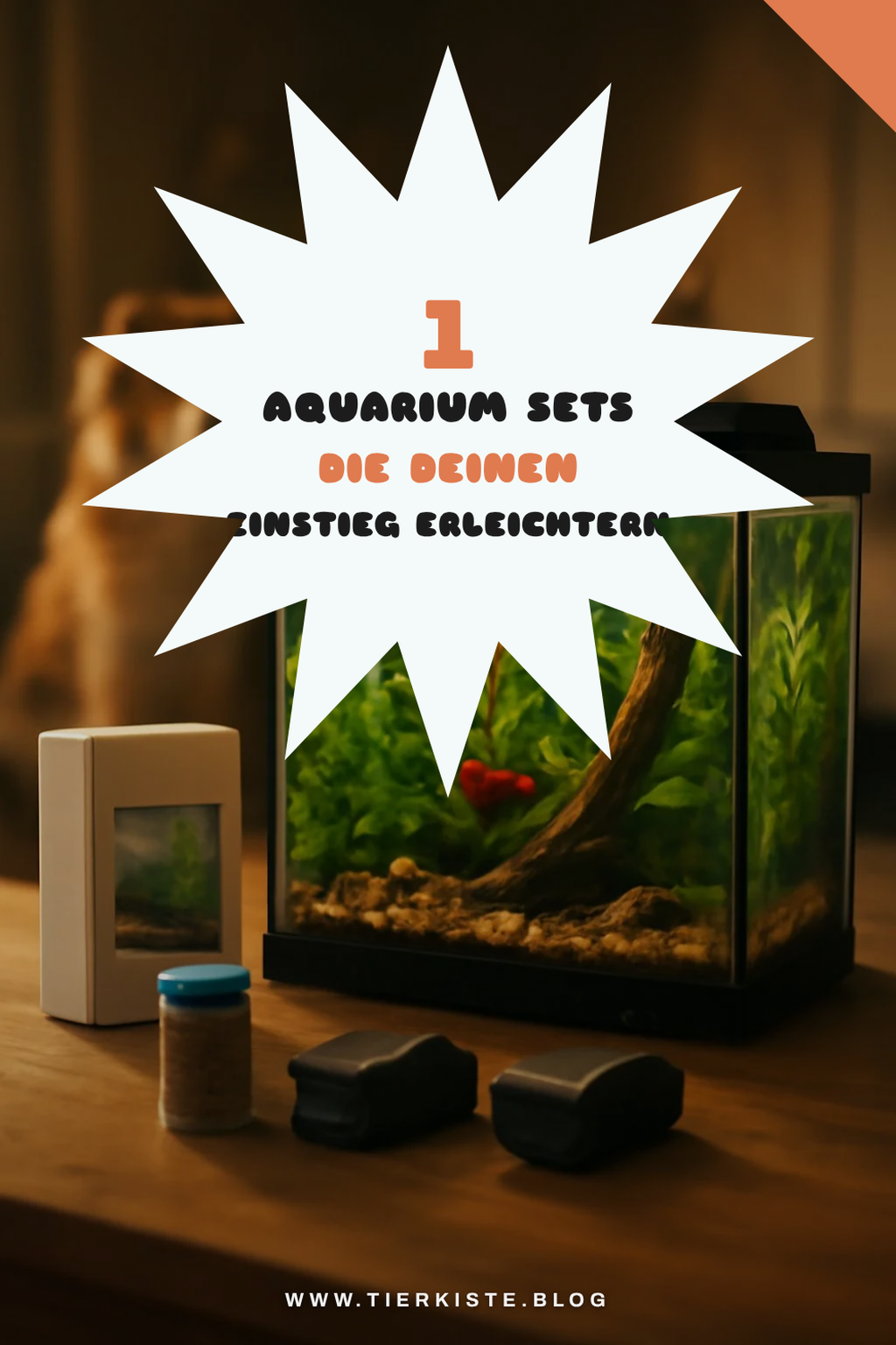 Die besten Einsteiger-Sets für dein erstes Aquarium