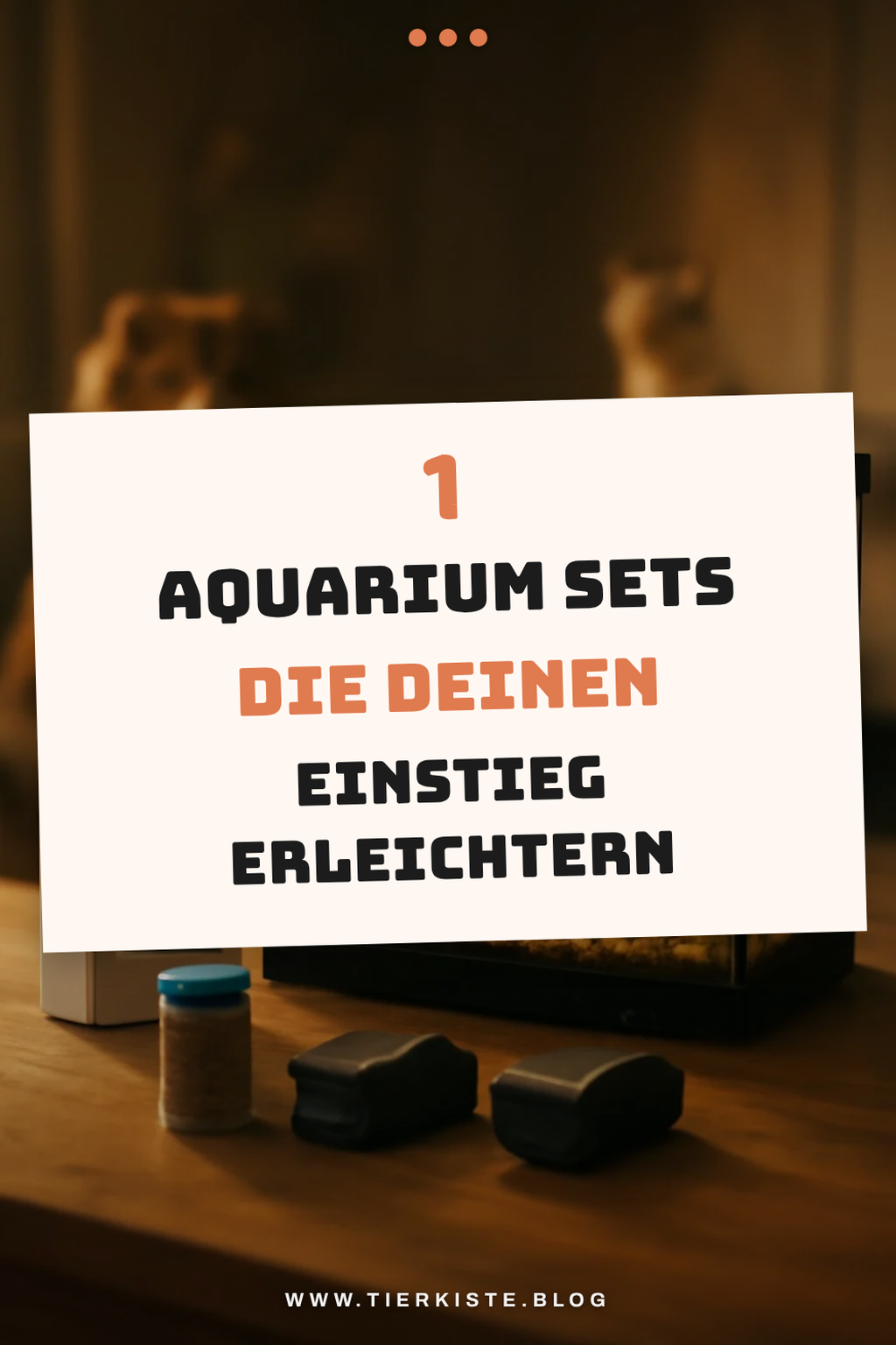 Mehr Empfehlungen aus dieser Kategorie