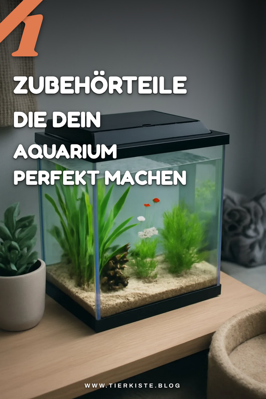 Wichtige Zubehörteile für dein Aquarium