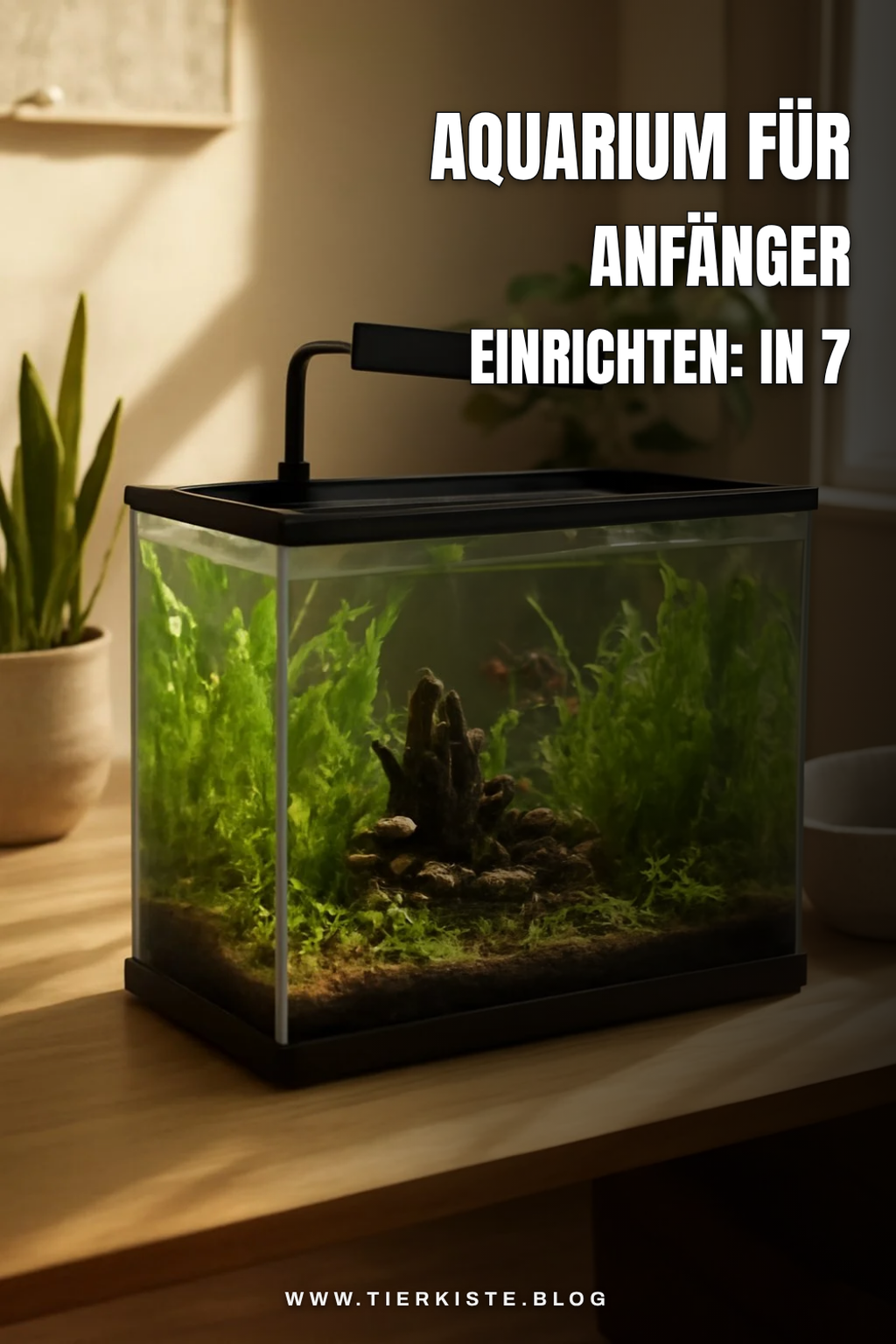 Aquarium für Anfänger einrichten: In 7 Schritten zum Traumbecken
