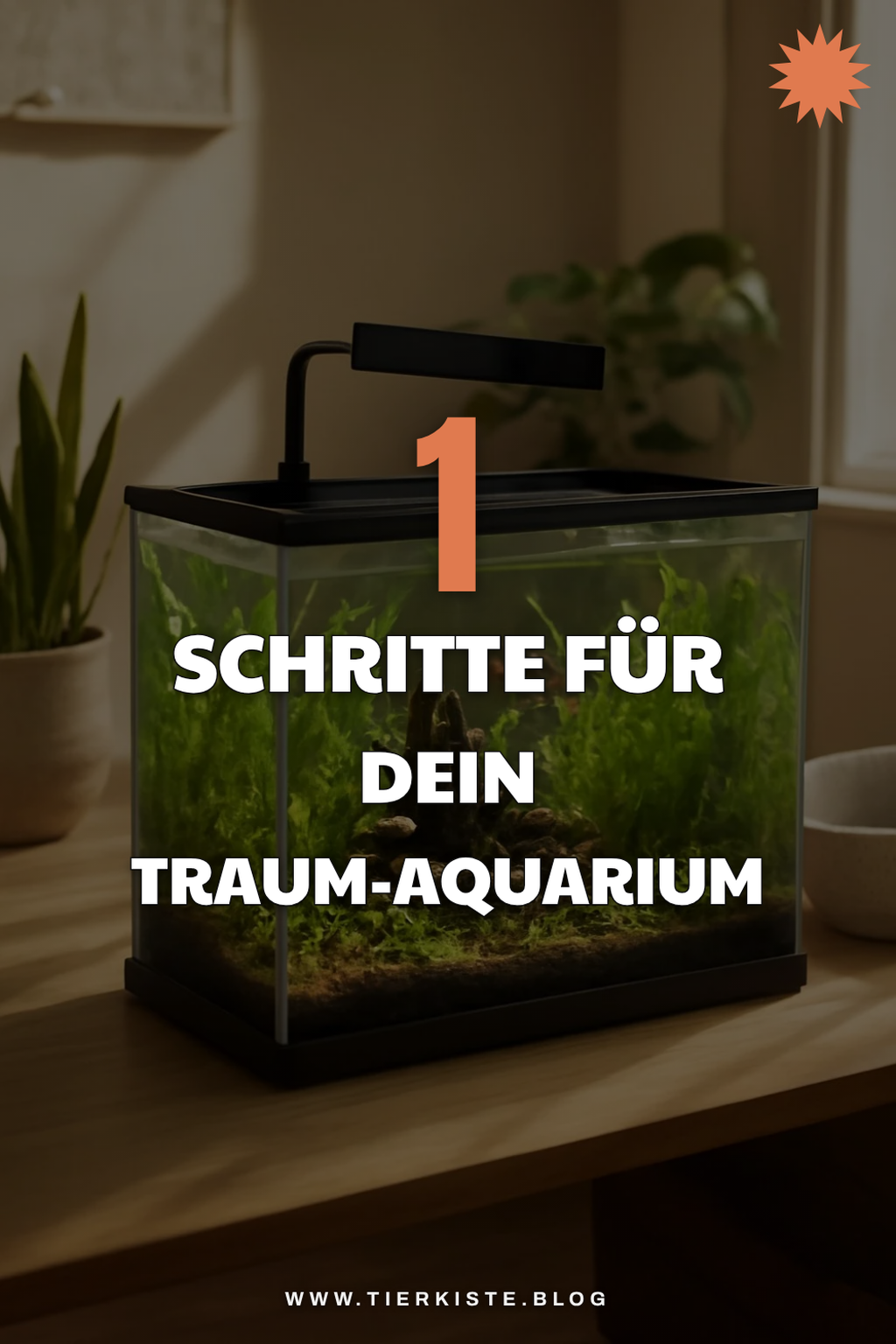 Zusätzliche Tipps, die noch reinpassen