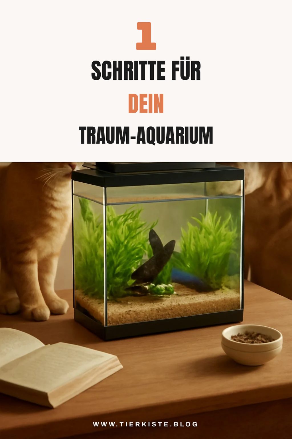 Bonus-Ideen für mehr Auswahl