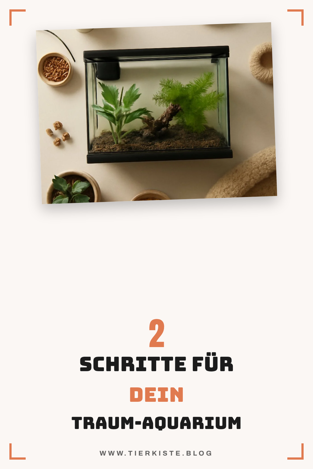Mehr Empfehlungen aus dieser Kategorie