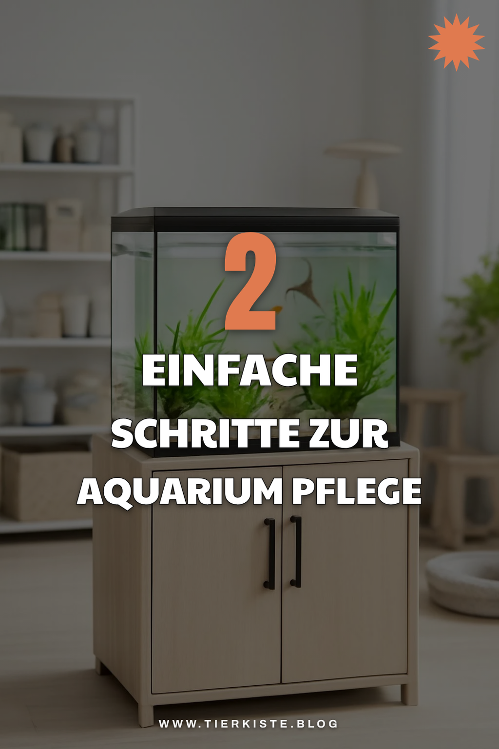 Pflege und Wartung deines Aquariums