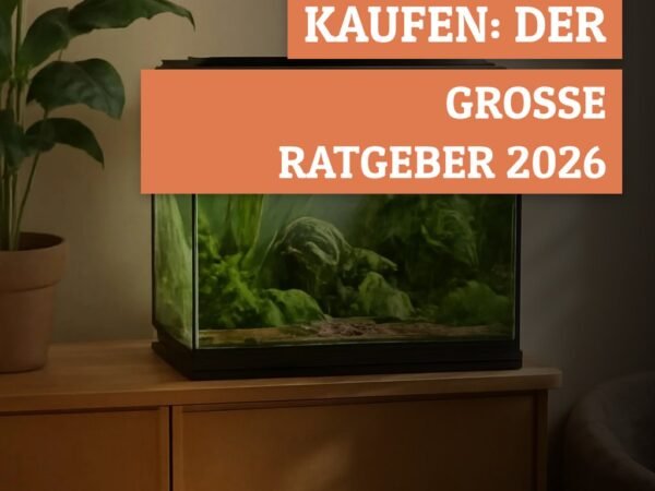 Aquarium-Komplettset kaufen: Der große Ratgeber 2026