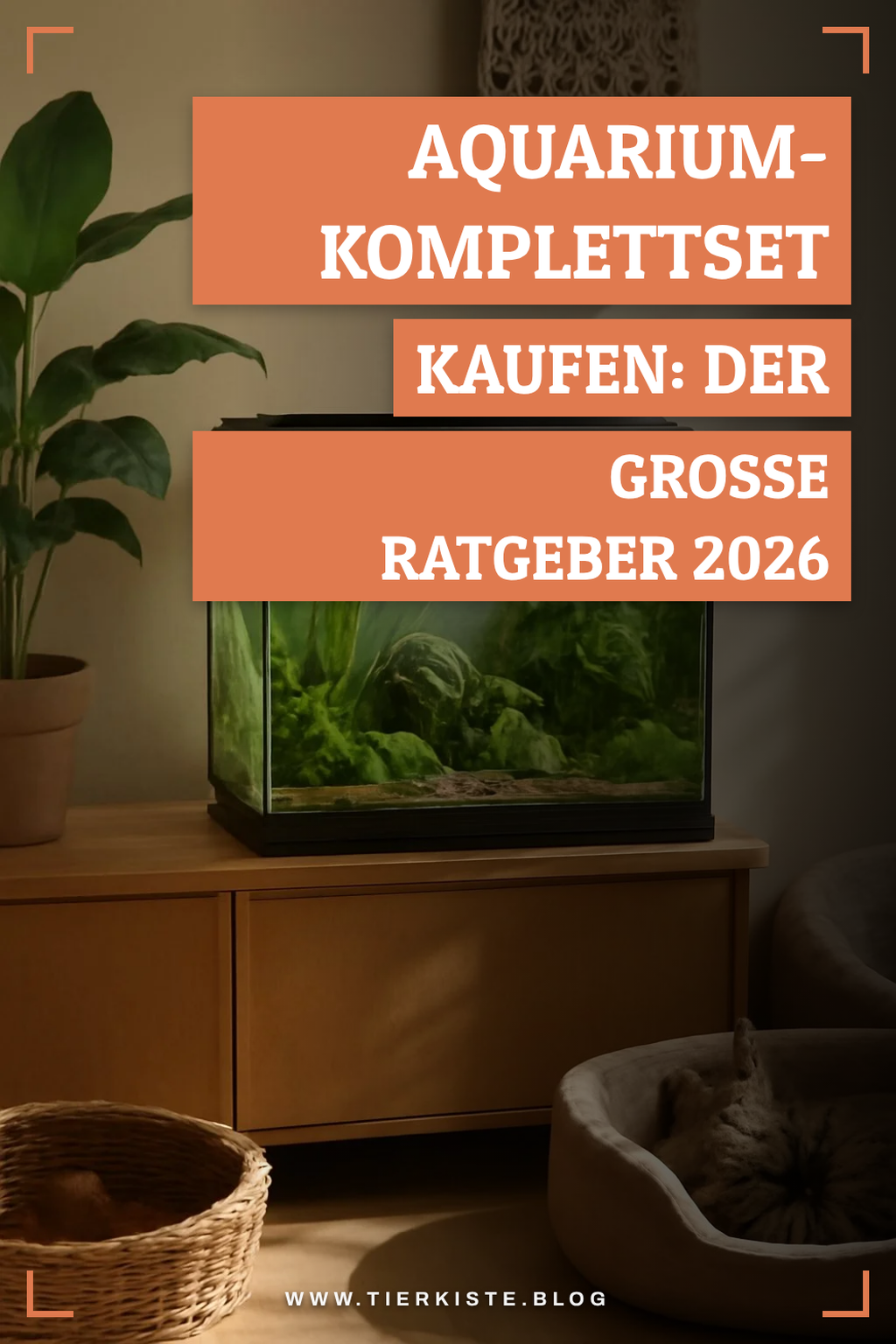 Aquarium-Komplettset kaufen: Der große Ratgeber 2026