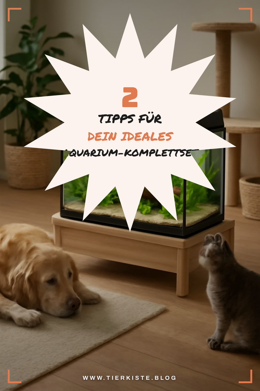 So findest du das perfekte Aquarium-Komplettset für dich
