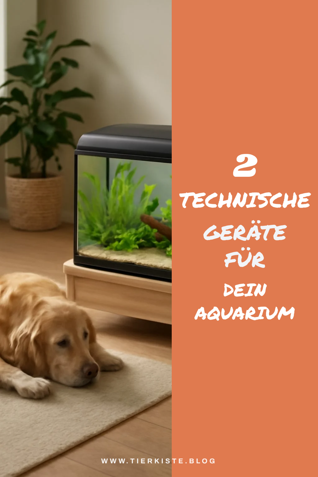 Essentielle Technik für dein Aquarium