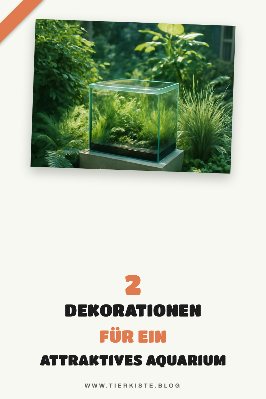 Dekorationstipps für dein Aquarium
