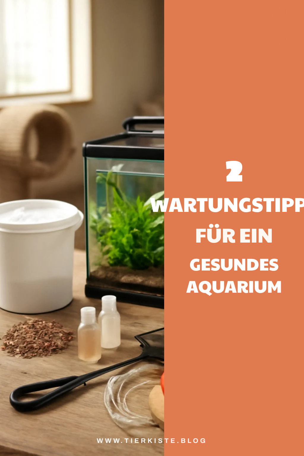 Wartungstipps für dein Aquarium