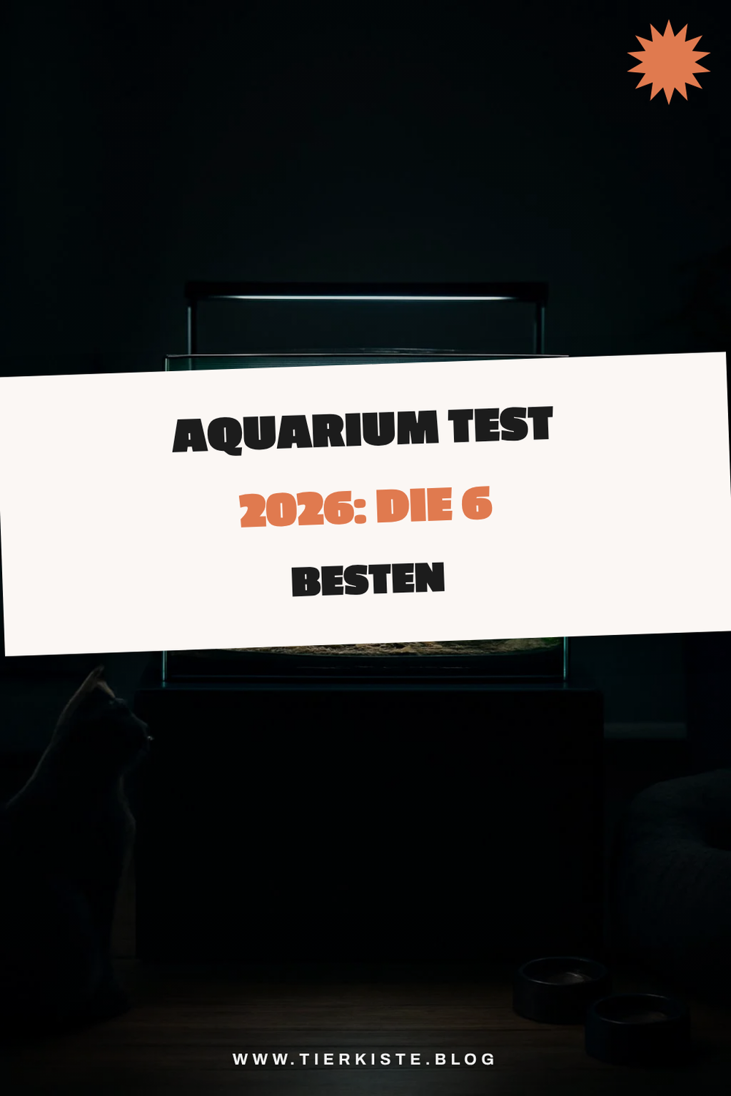 Aquarium Test 2026: Die 6 besten Modelle im Vergleich