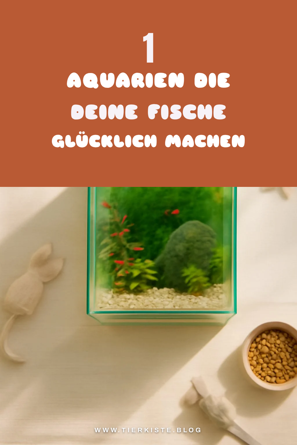 So findest du das perfekte Aquarium für 2026