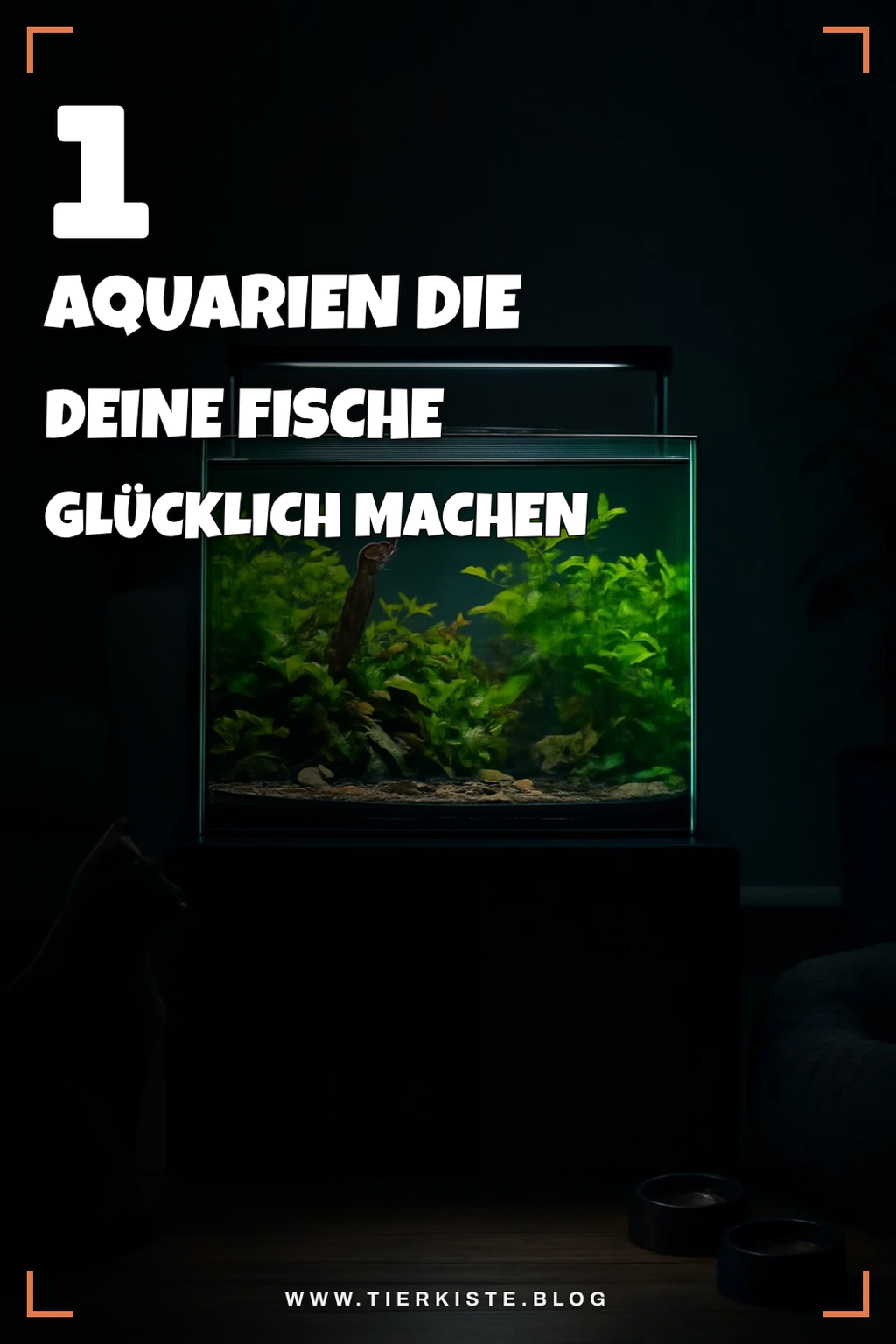 Mehr Empfehlungen aus dieser Kategorie