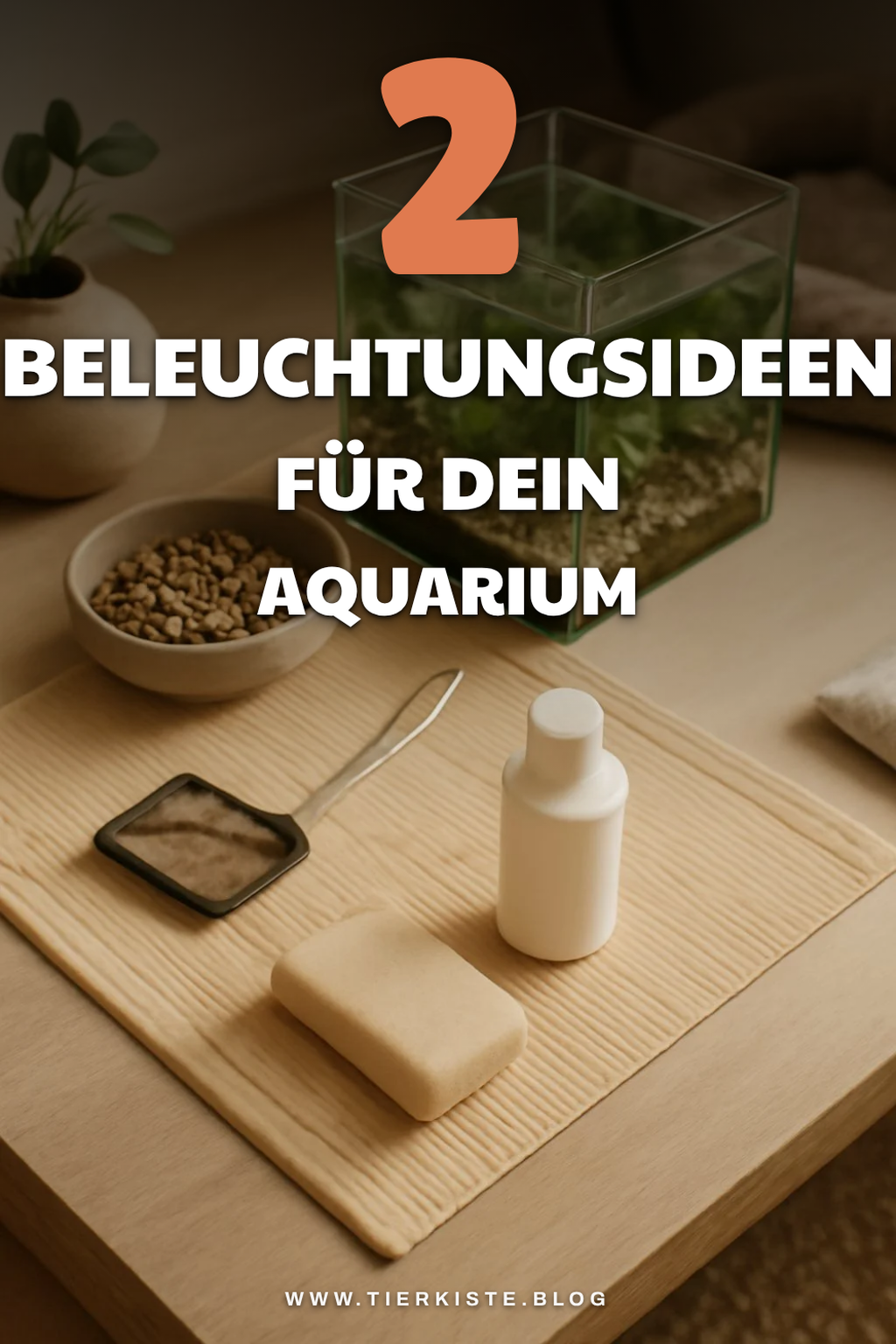 Aquarien-Beleuchtung: So setzt du dein Aquarium perfekt in Szene