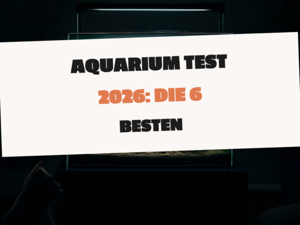 Aquarium Test 2026: Die 6 besten Modelle im Vergleich