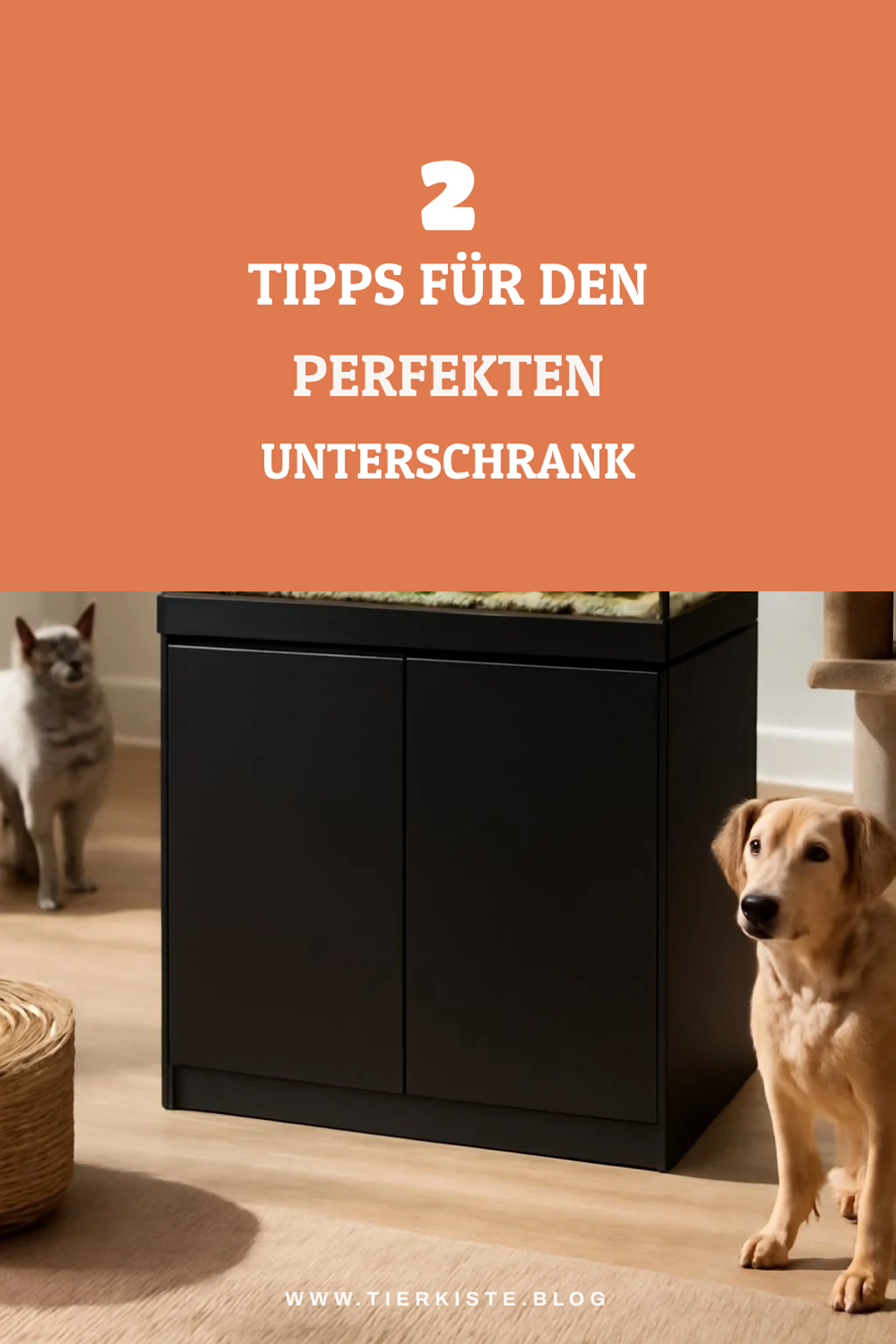 So findest du den perfekten Aquarium Unterschrank