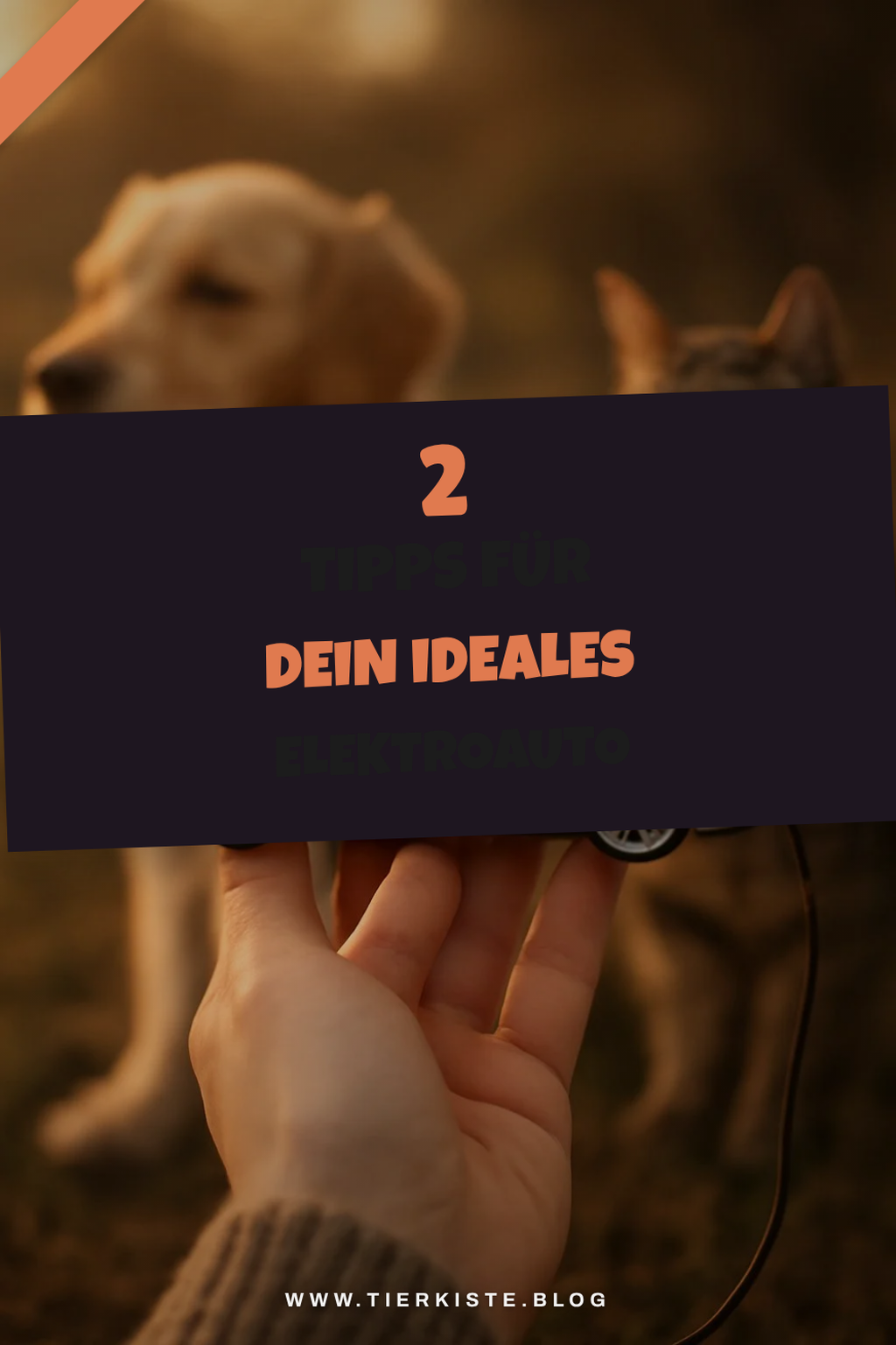 So findest du das perfekte Elektroauto für dich