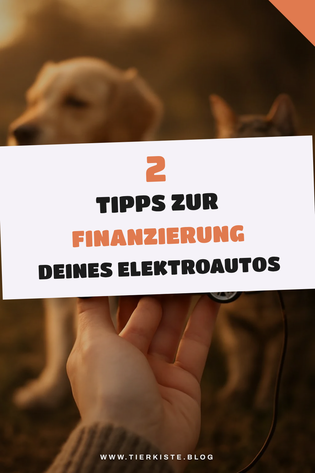 Finanzierung und Kosten verstehen