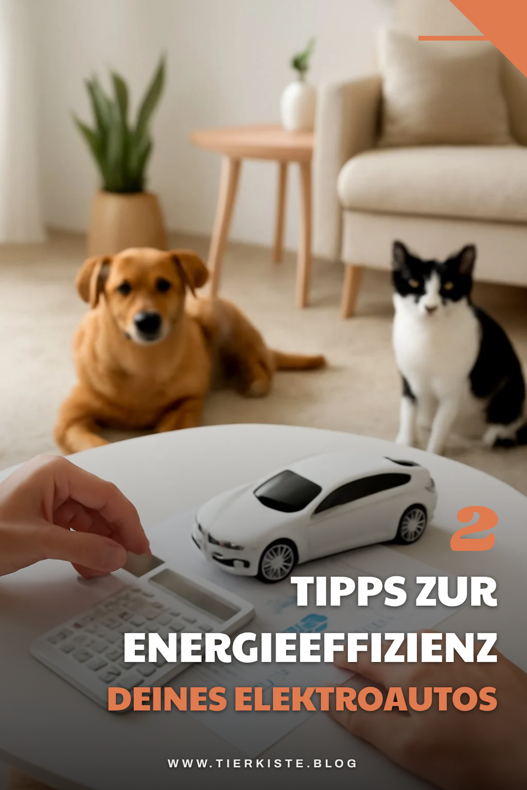 Energieeffizienz beim Elektroauto
