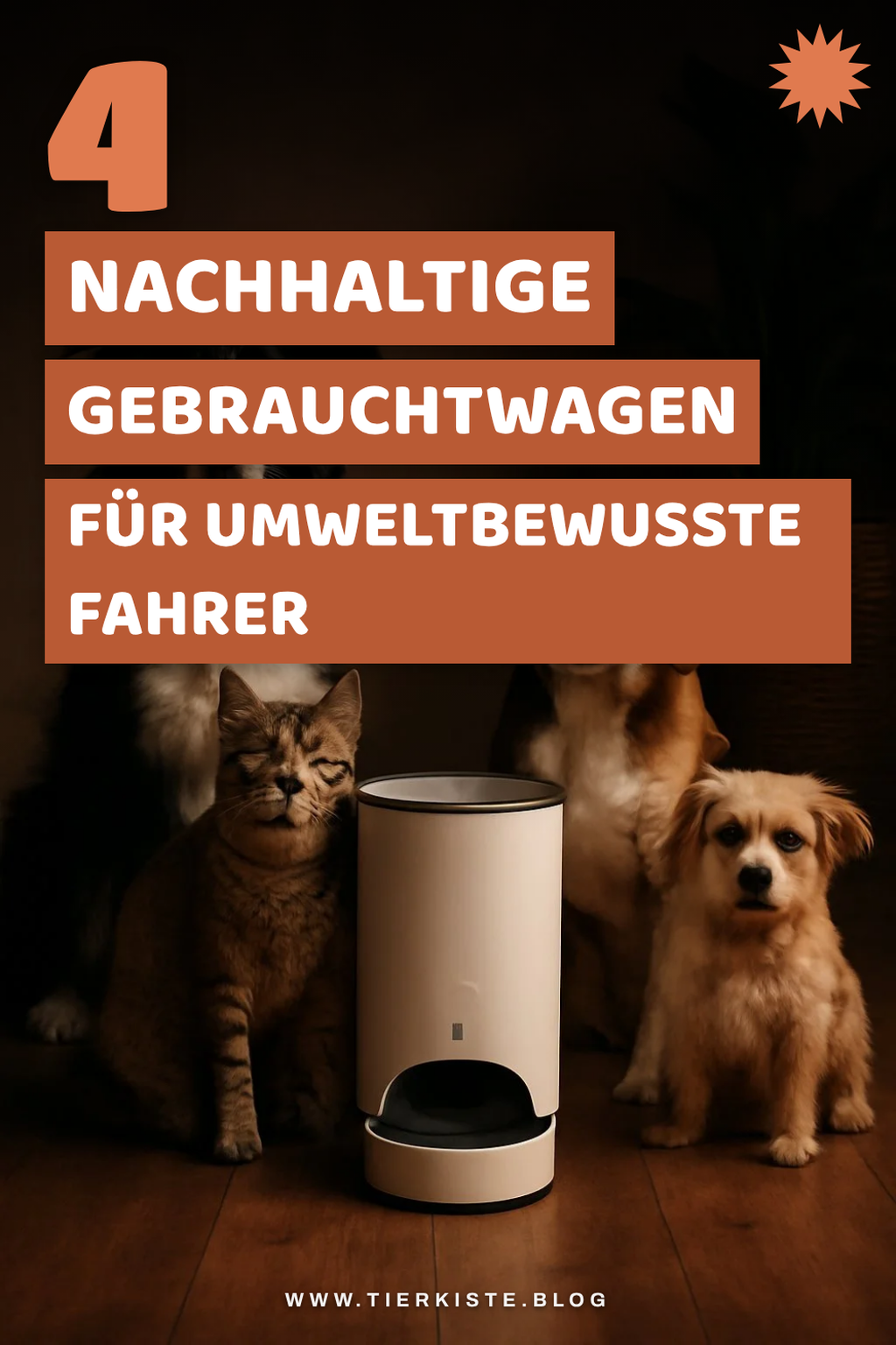 Entdecke 5 umweltfreundliche Gebrauchtwagen