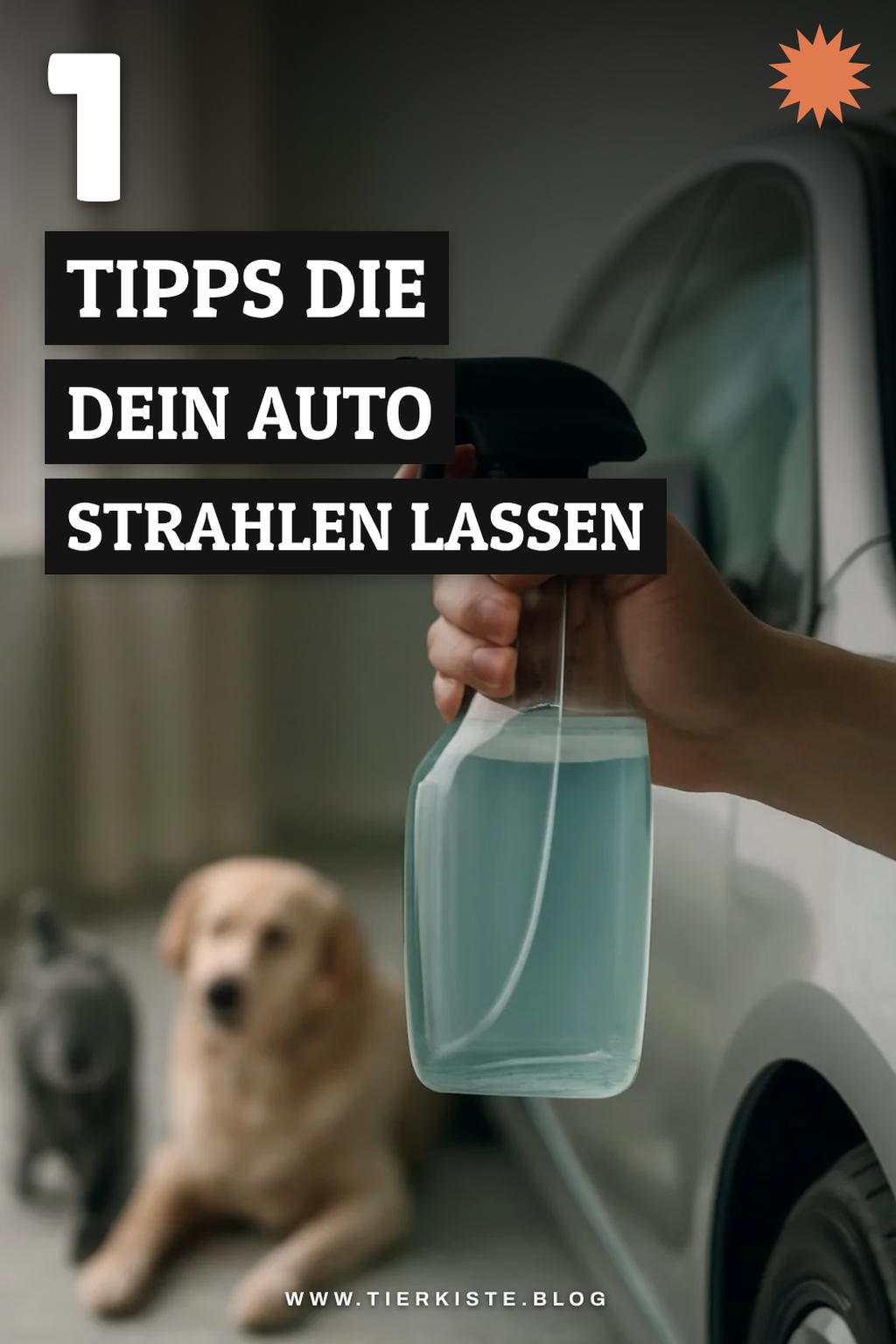 So bringst du dein Auto mit 8 Tipps zum Strahlen