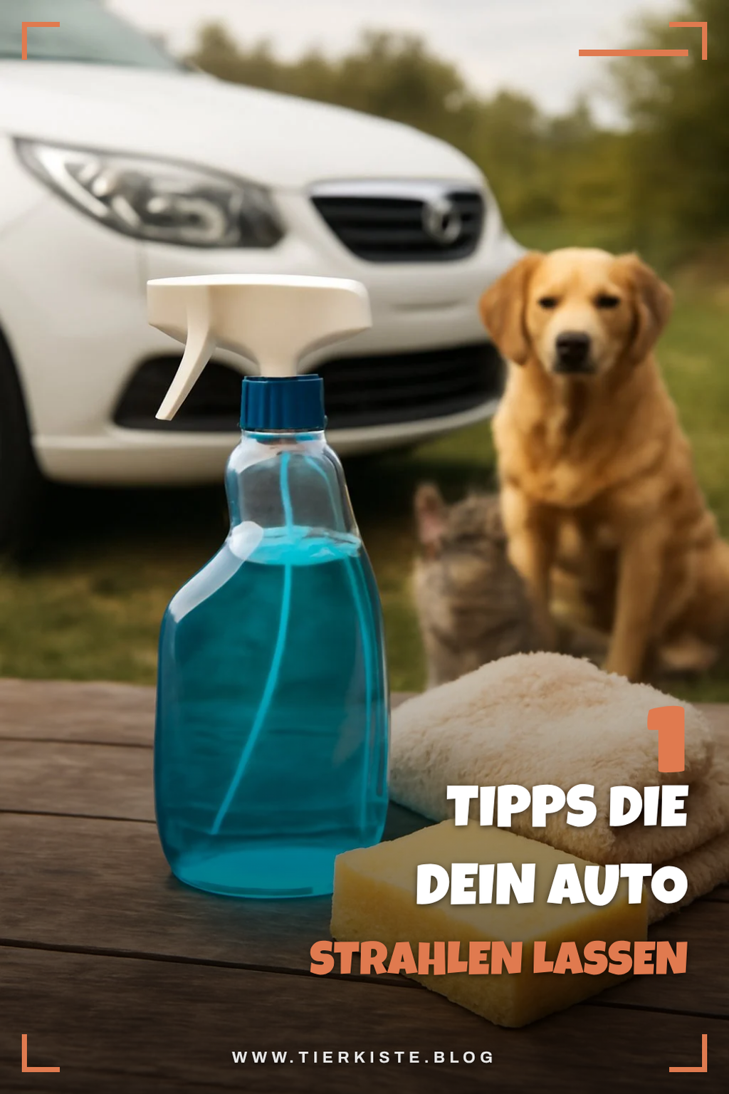Zusätzliche Tipps, die noch reinpassen