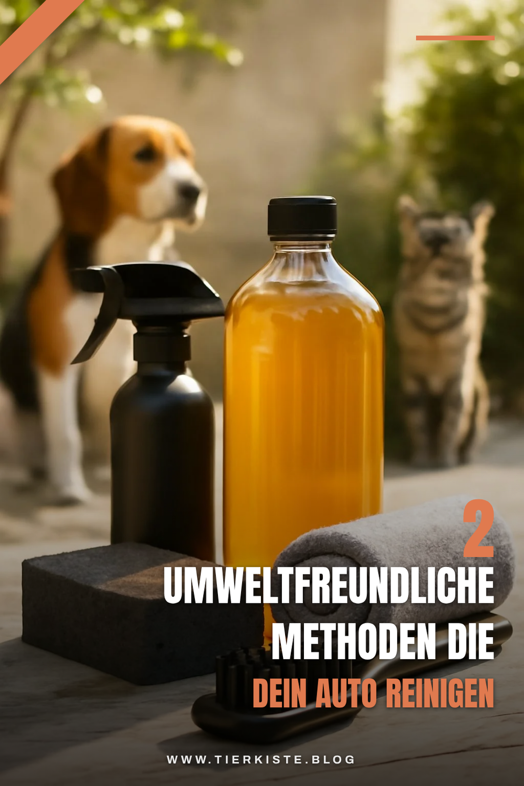 Umweltfreundliche Reinigungsmethoden für dein Auto