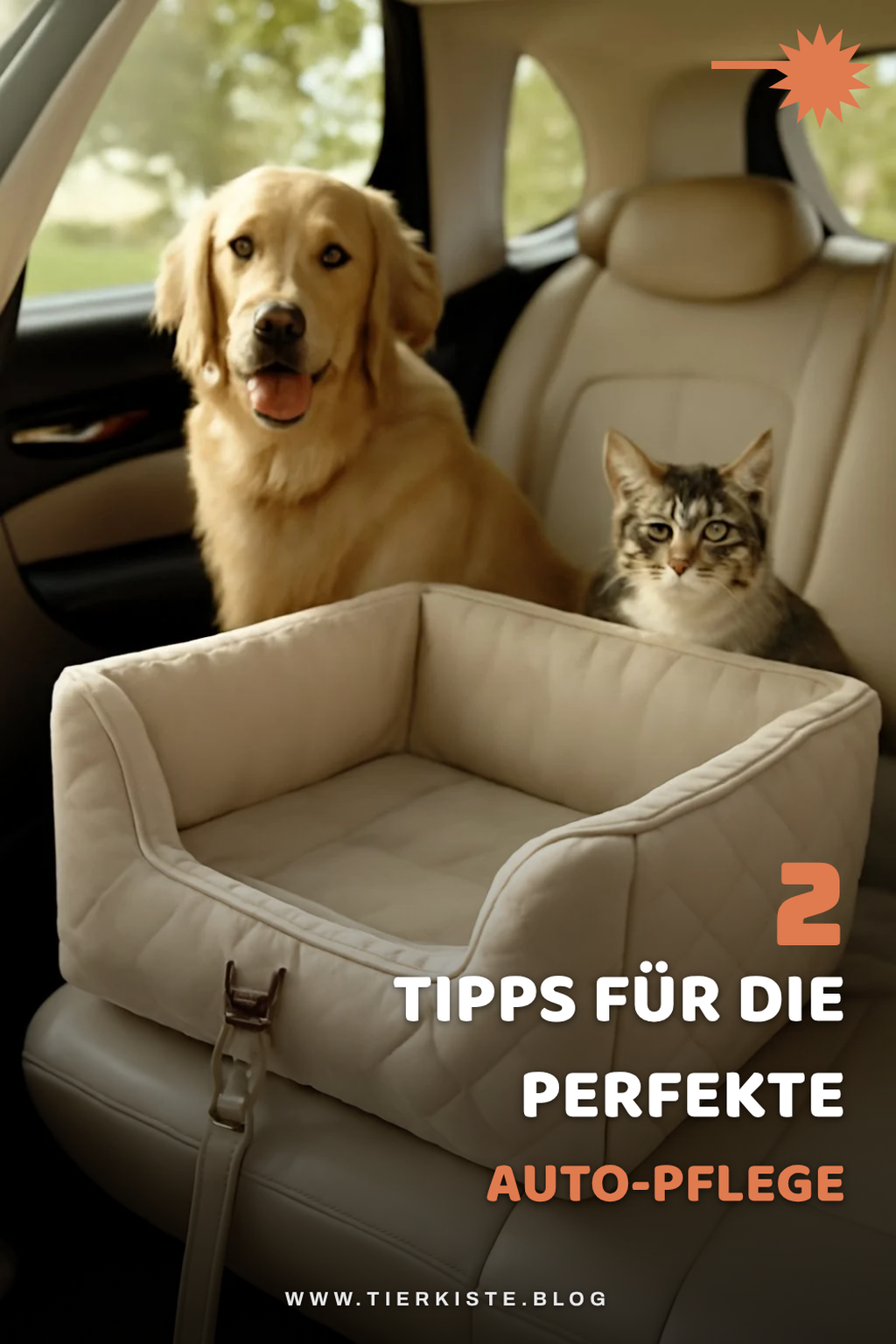 Pflege und Wartung für dein Auto