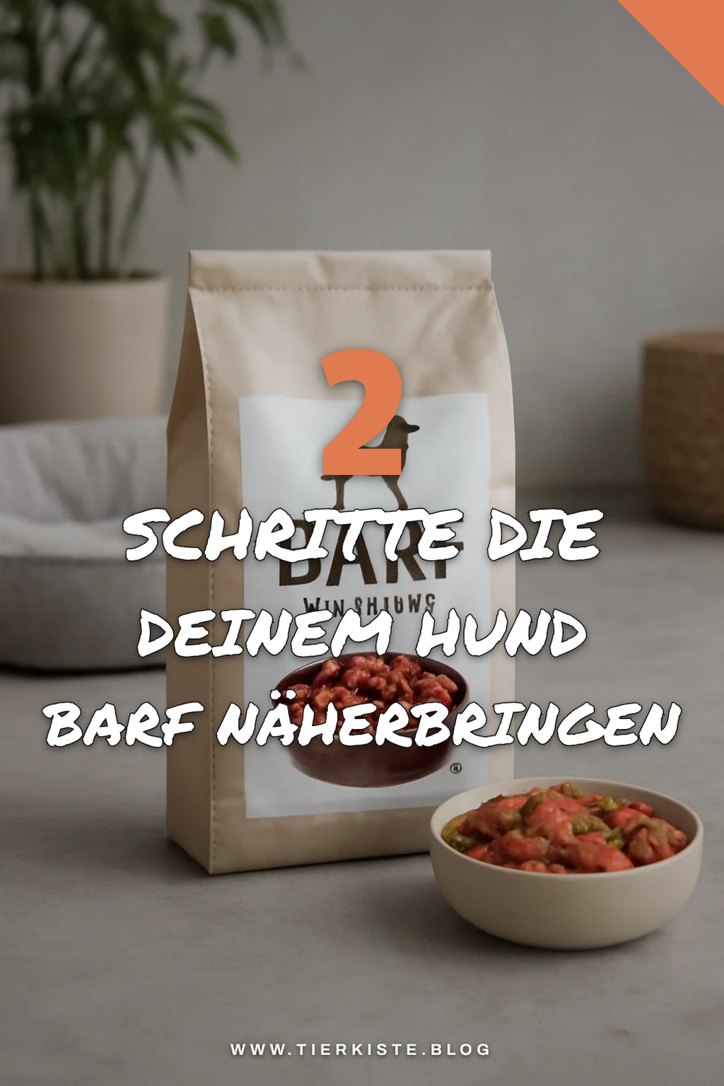 So startest du erfolgreich mit Barf für deinen Hund