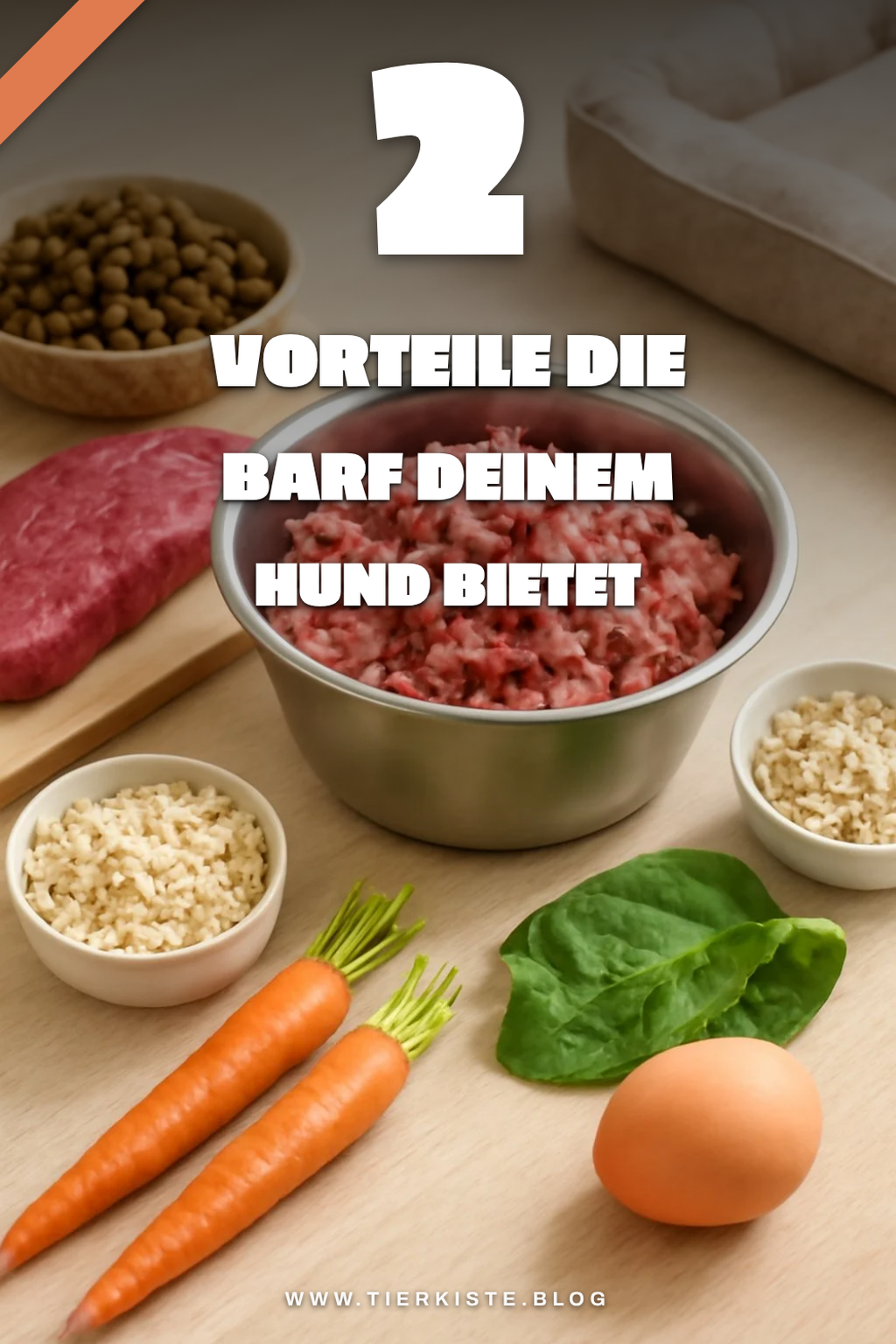 Die Vorteile von Barf für deinen Hund