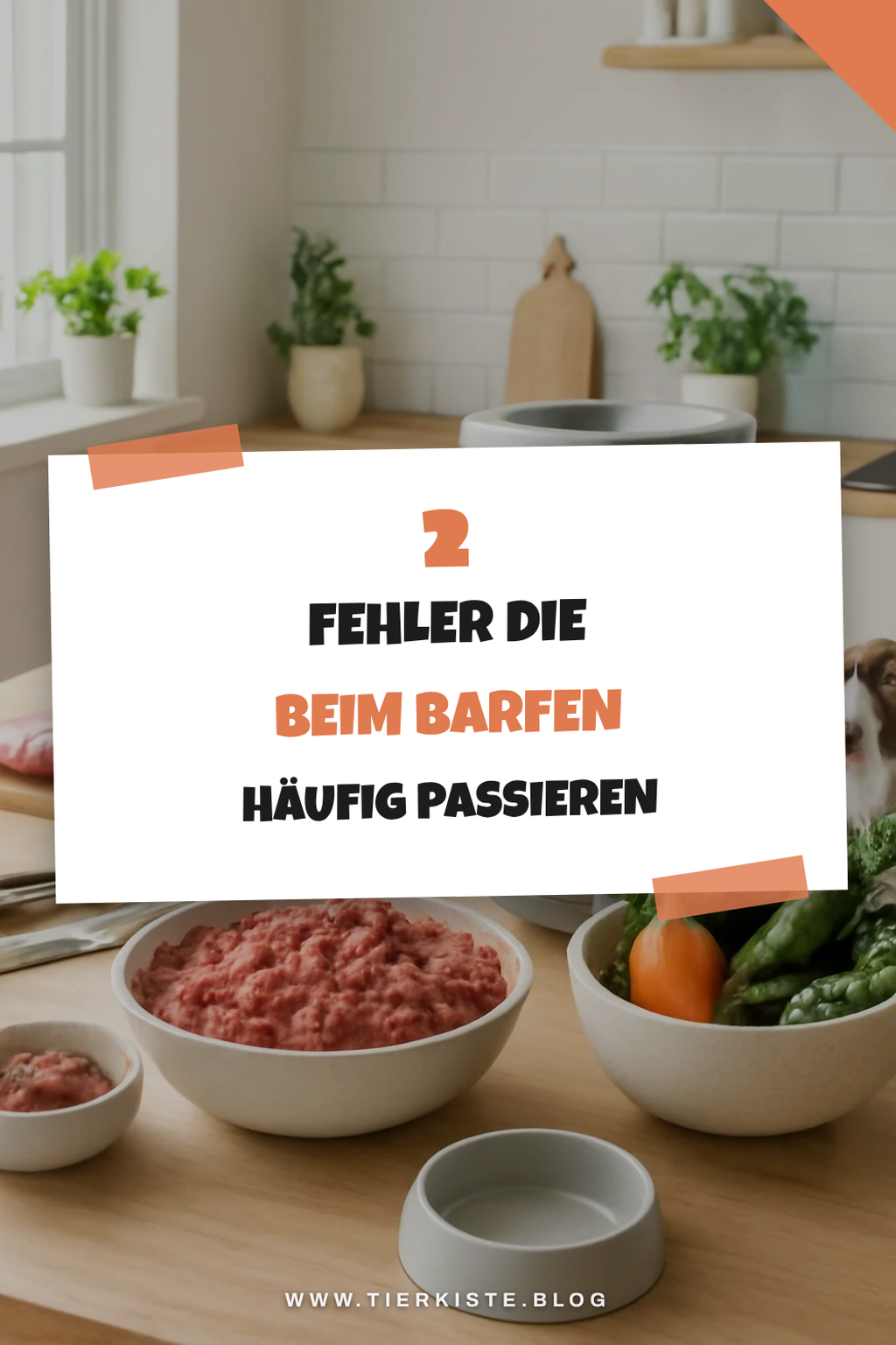 Häufige Fehler beim Barfen vermeiden
